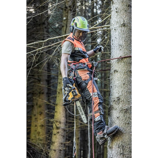 Arborist at height harnessed to tree, reaching down for handle of the DCMCST635 Top Handle Chainsaw