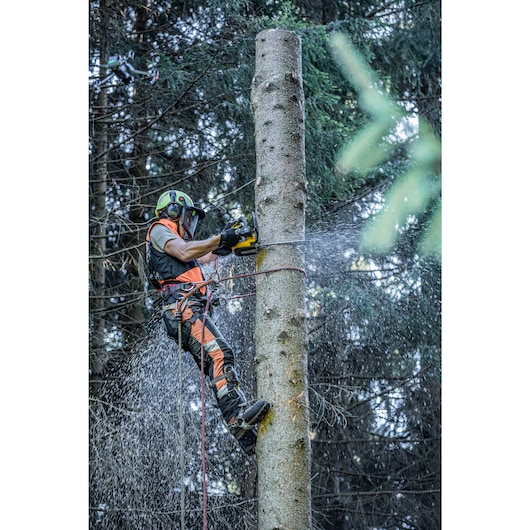 Arborist at height harnessed to to tree sawing with the DCMCST635