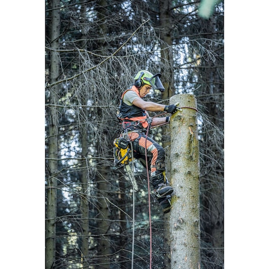 Arborist harnessed at the top of tree with the Top Handle Chainsaw tether attached for hands free climbing