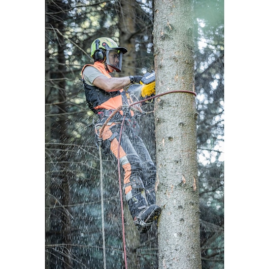 Side view of the arborist at height harnessed to to tree sawing with the DCMCST635 Top Handle Chainsaw