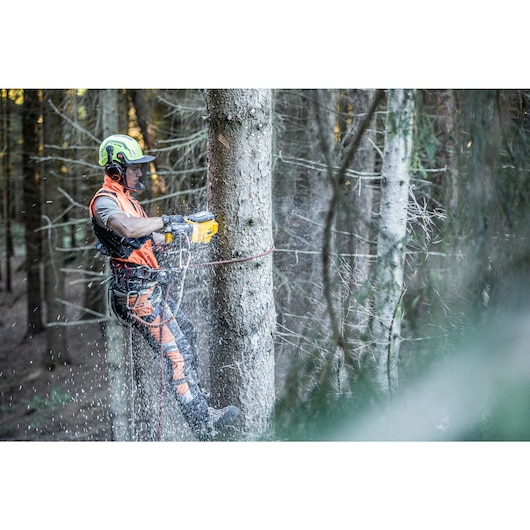 Arborist sawing tree with the DCMCST635 Top Handle Chainsaw