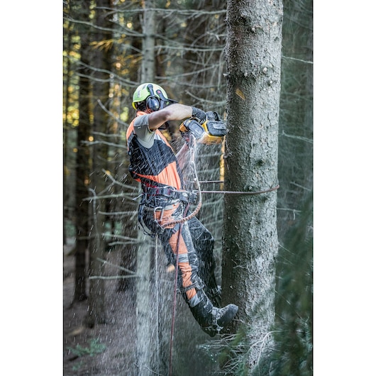 Arborist harnessed to tree using the DCMCST635 Top Handle Chainsaw