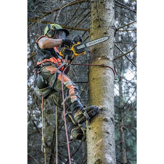 Arborist at height harnessed to tree to cut branches