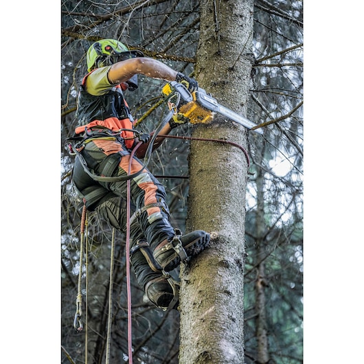 Arborist at height harnessed to tree cutting branches with the Top Handle Chainsaw