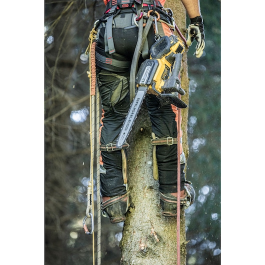 Arborist climbing tree with the DCMCST635 Top Handle Chainsaw harnessed to him for hands free climbing